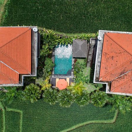 Cenik Villa Ubud Luaran gambar