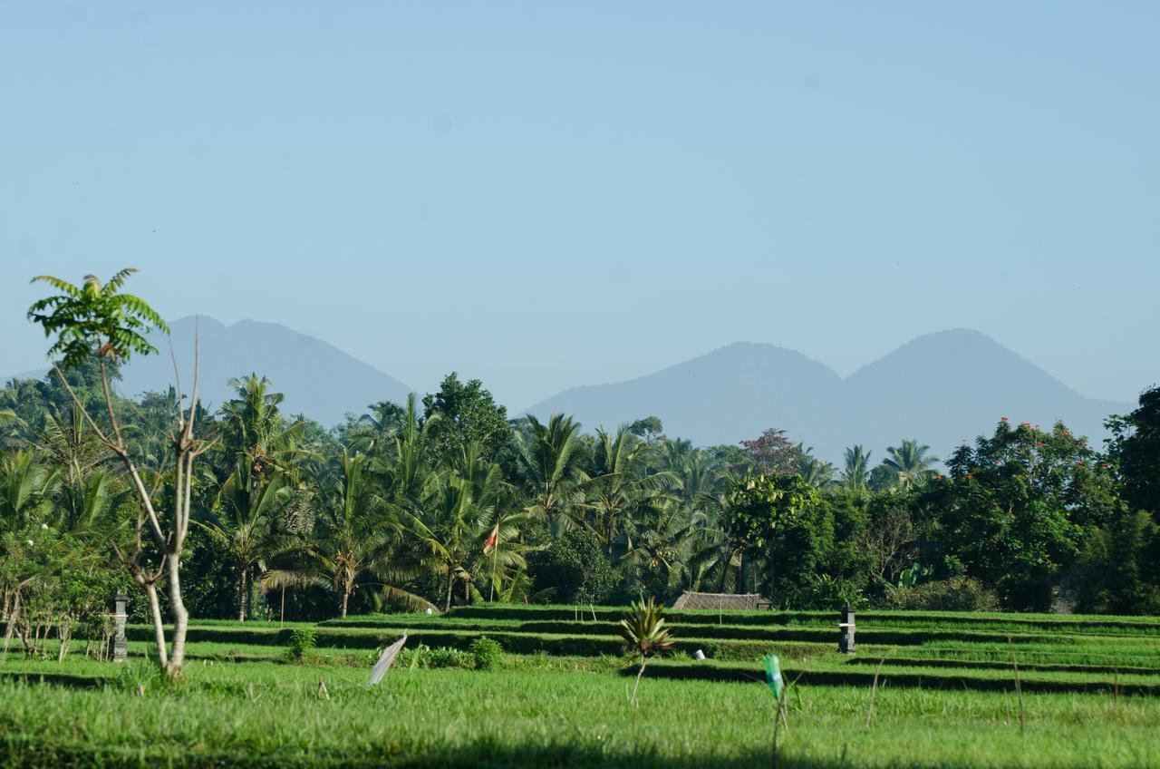 Cenik Villa Ubud Luaran gambar