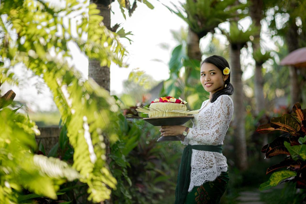 Cenik Villa Ubud Luaran gambar