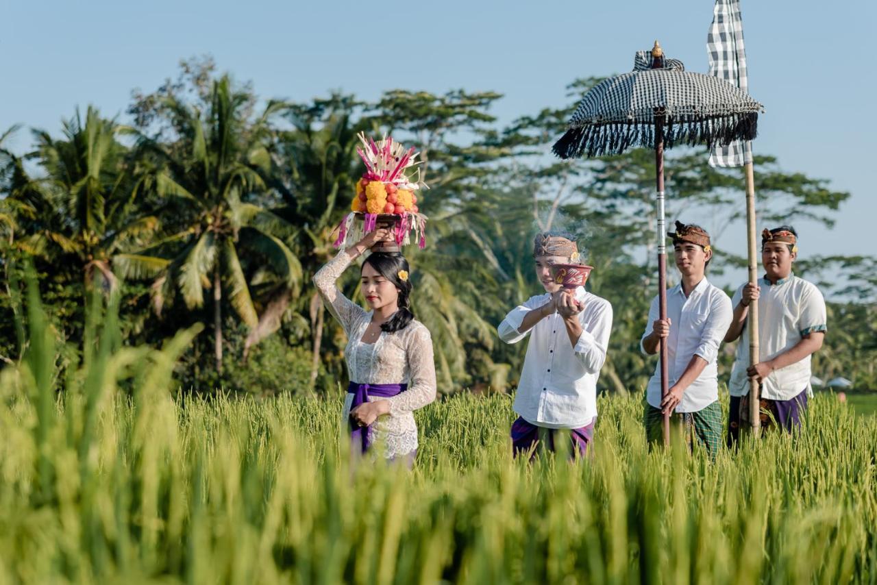 Cenik Villa Ubud Luaran gambar