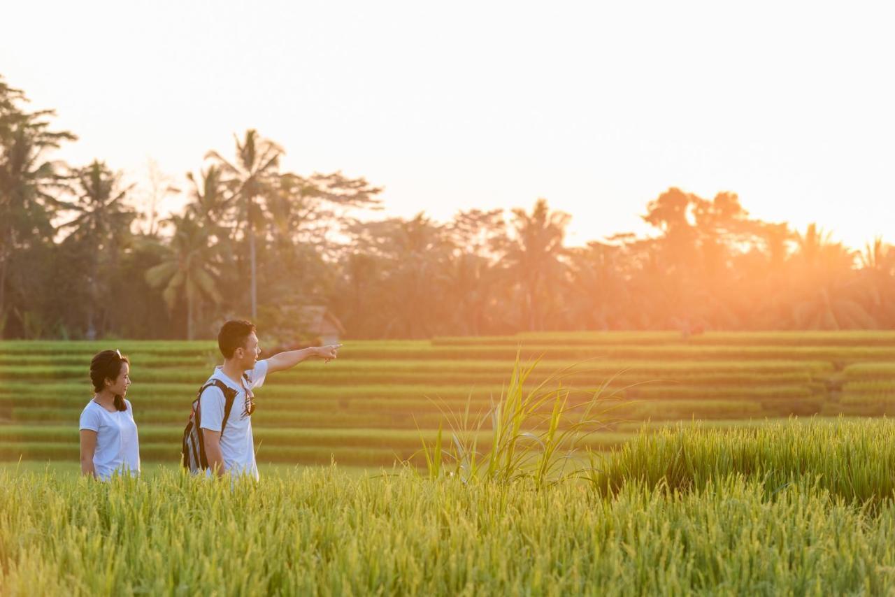 Cenik Villa Ubud Luaran gambar