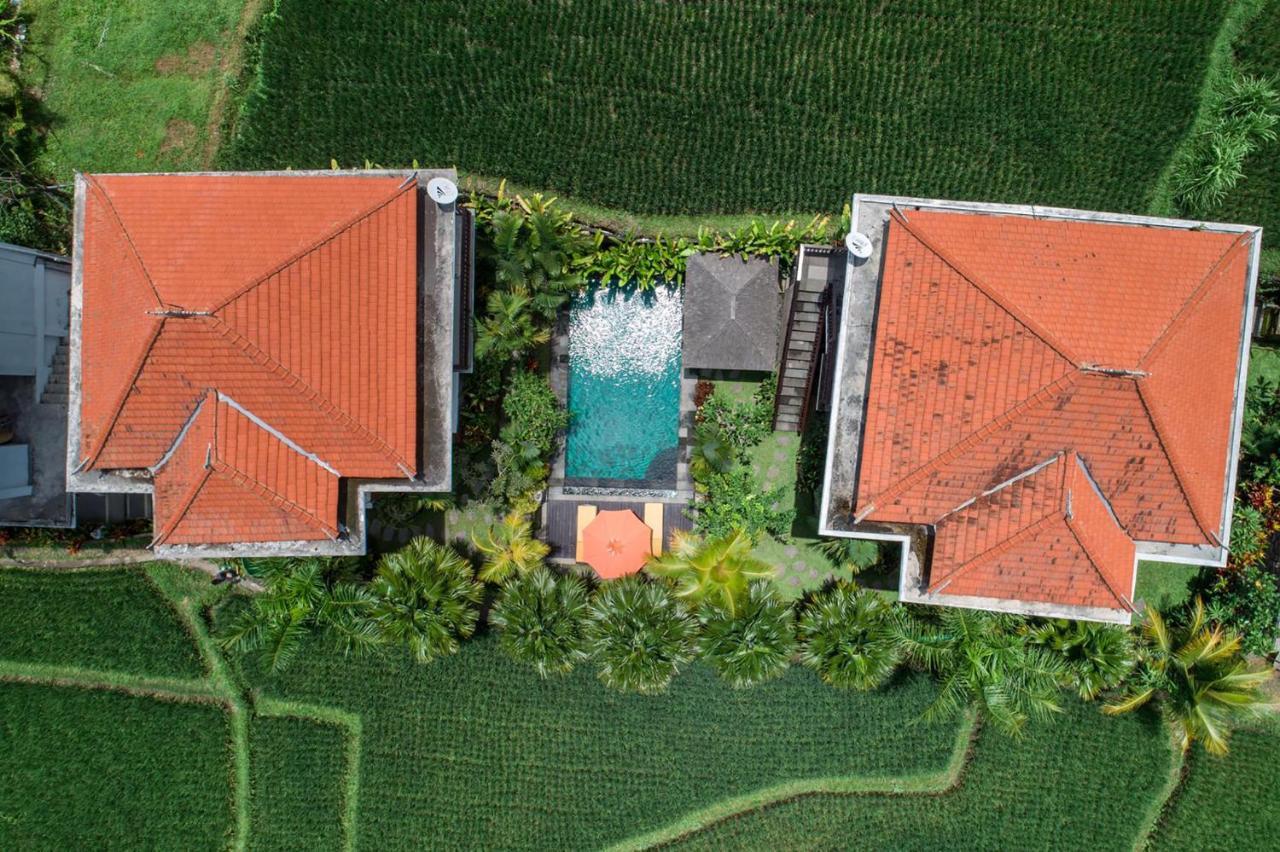 Cenik Villa Ubud Luaran gambar